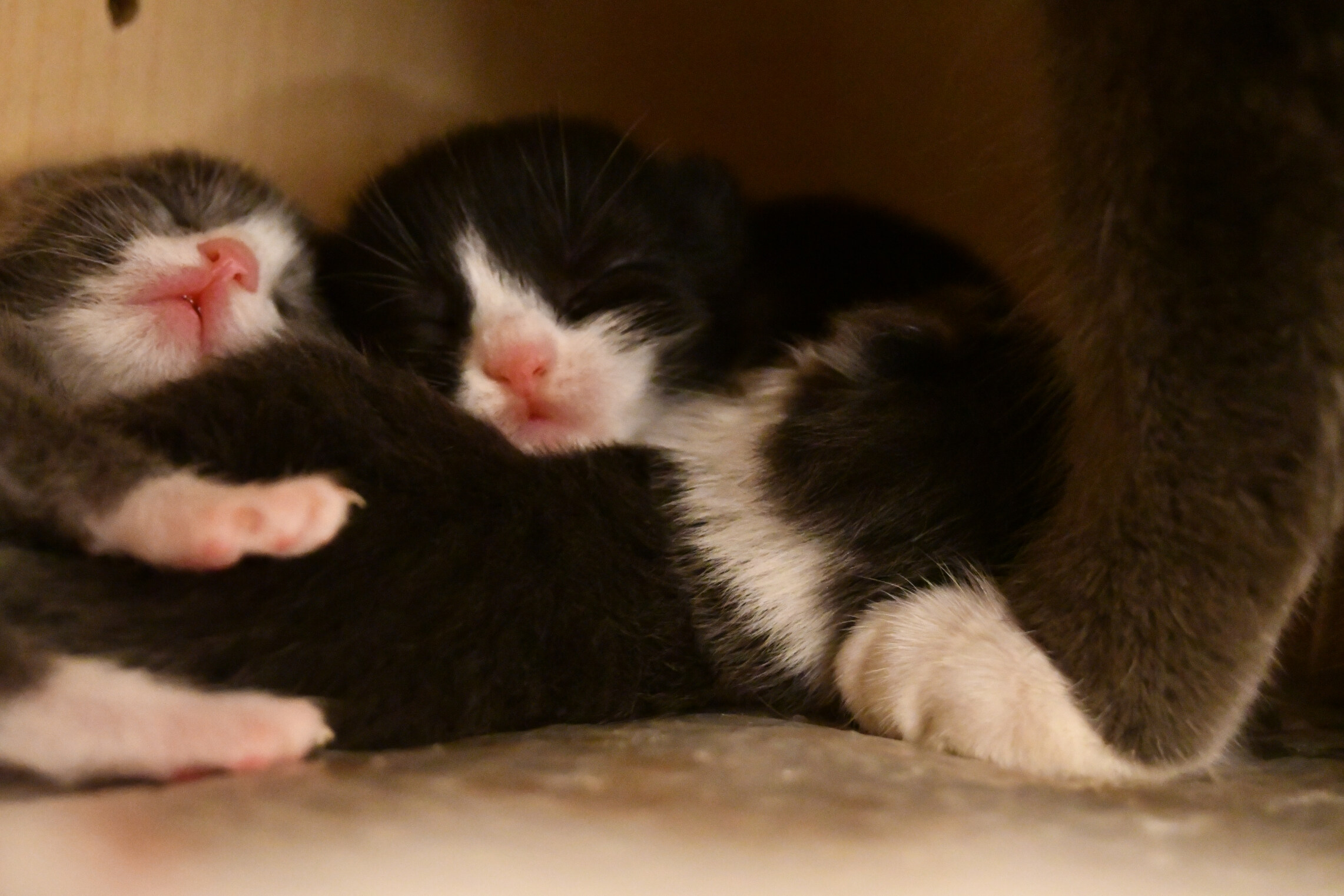 Week 5 - Photo 7